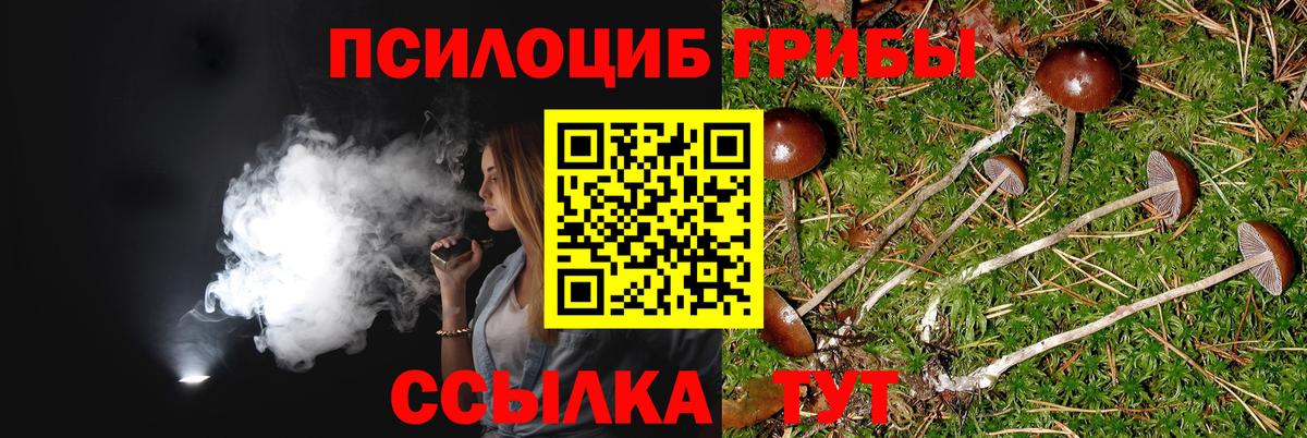 Псилоцибиновые грибы мухоморы  Вход с VPN  Псилоцибиновые грибы Magic Shrooms  Златоуст 