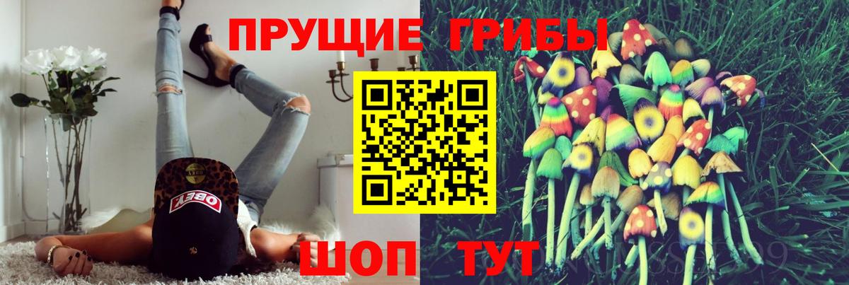 Псилоцибиновые грибы Psilocybe Златоуст